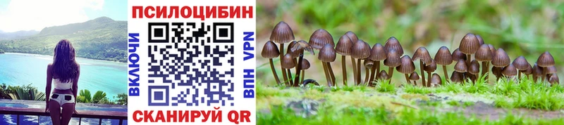 Галлюциногенные грибы мухоморы  купить закладку  Высоковск 